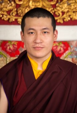 XVII Karmapa Trinlej Taje Dordże